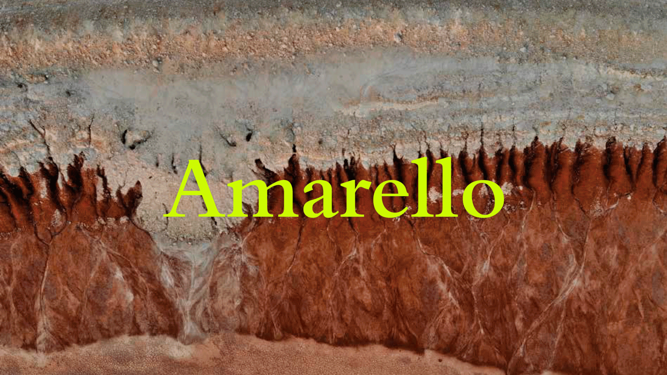 Revista Amarello